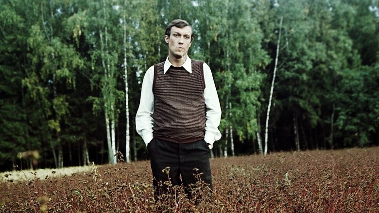 кадр из фильма Зеркало