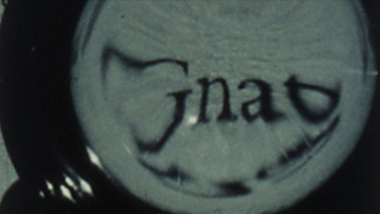 кадр из фильма Looking Glass Insects