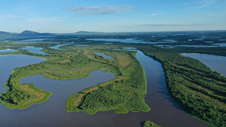 кадр из фильма Naturwunder Pantanal - Brasiliens geheimnisvolle Wildnis