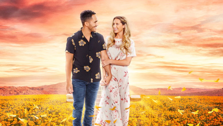 кадр из фильма Любовь под светом софитов