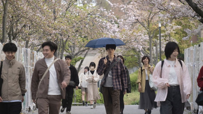 кадр из фильма 今日の空が一番好き、とまだ言えない僕は