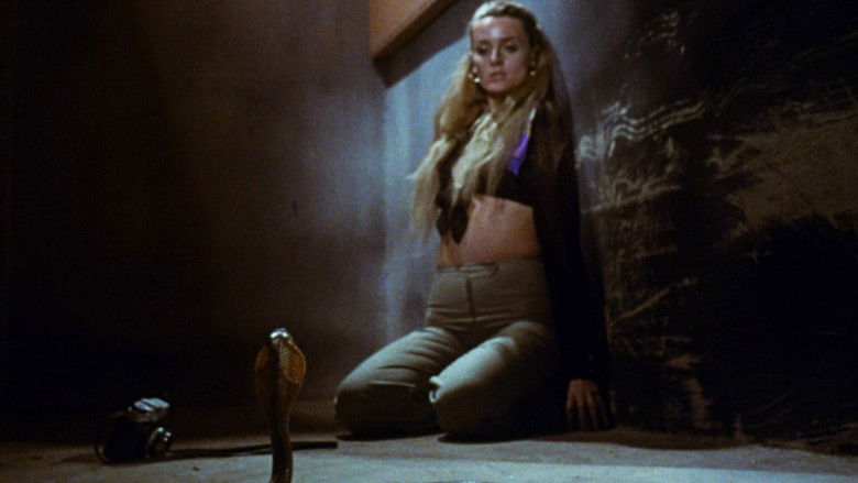 кадр из фильма Beast of Blood