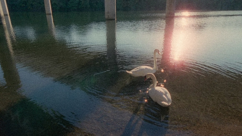 кадр из фильма Между нами музыка