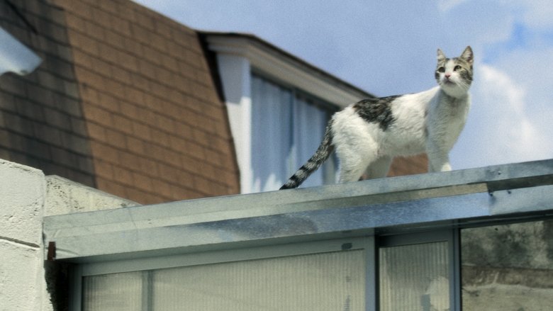 кадр из фильма Viejos Malditos