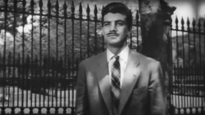 кадр из фильма Üç Kızın Hikayesi