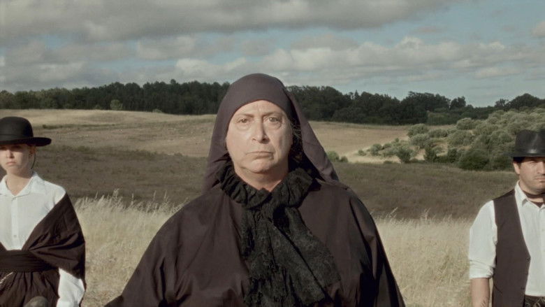 кадр из фильма Erros Meus, Má Fortuna, Amor Ardente