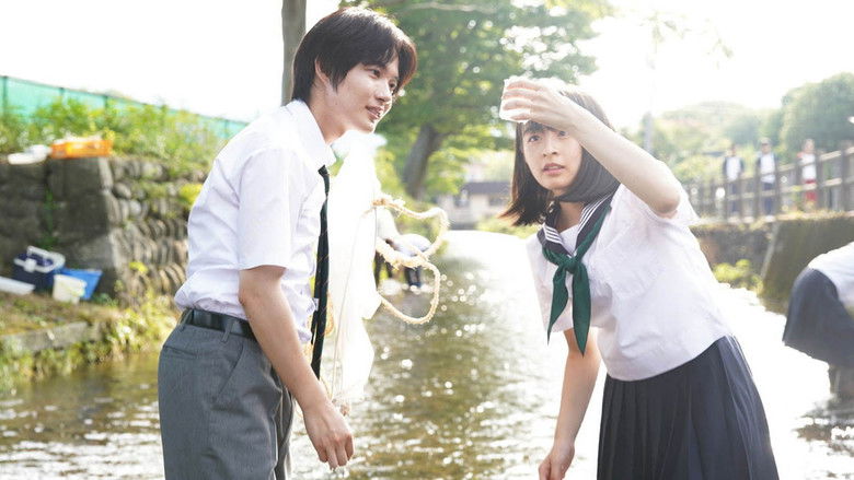 кадр из фильма ラストレター