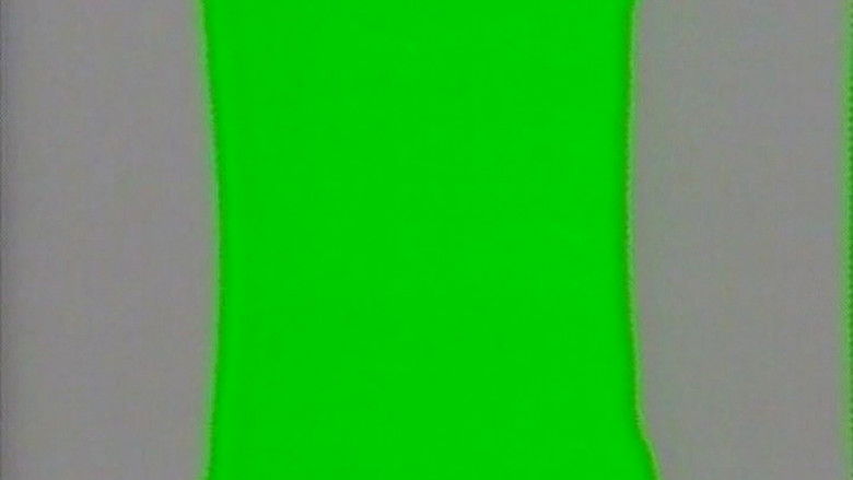 кадр из фильма Videocałuski