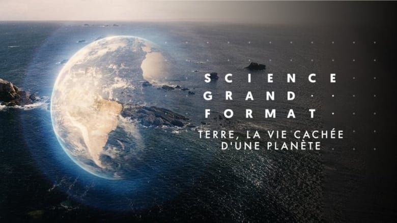 кадр из фильма Terre, la vie cachée d'une planète