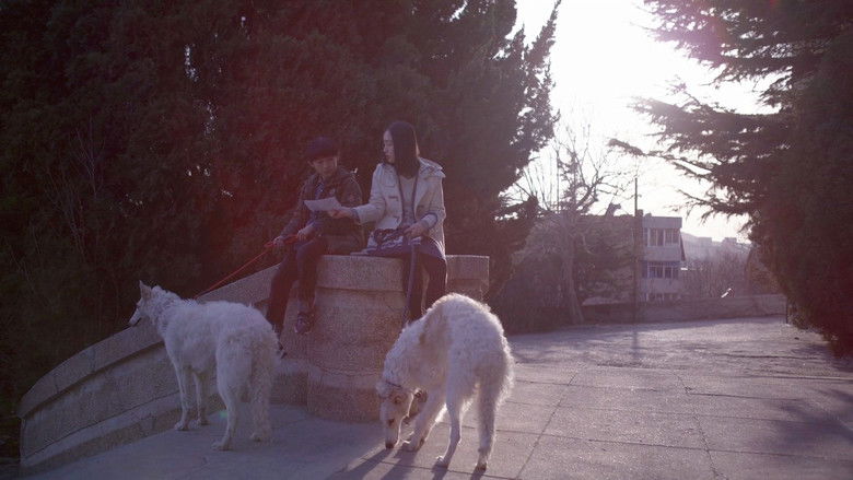 кадр из фильма 你好，之华