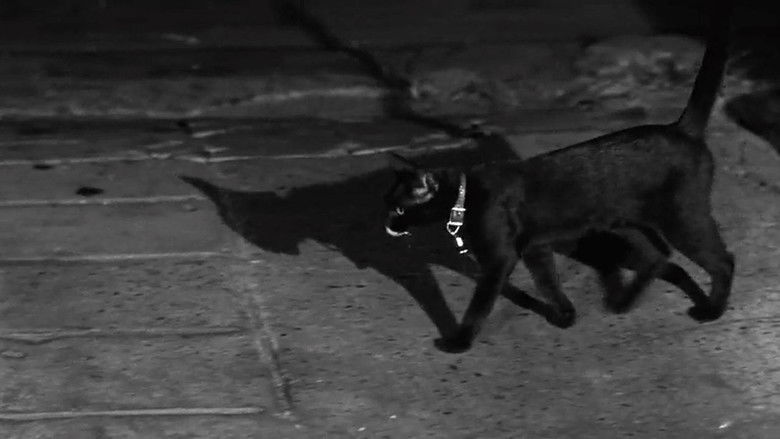 кадр из фильма The Fat Black Pussycat