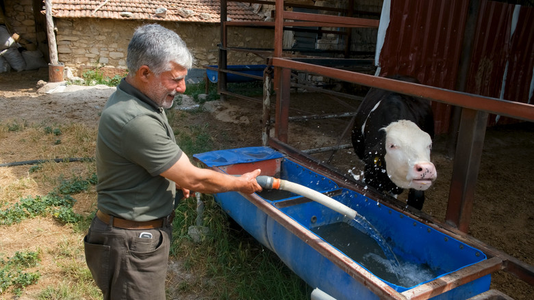 кадр из фильма Kaybolan Sularda Pedal Çevirmek