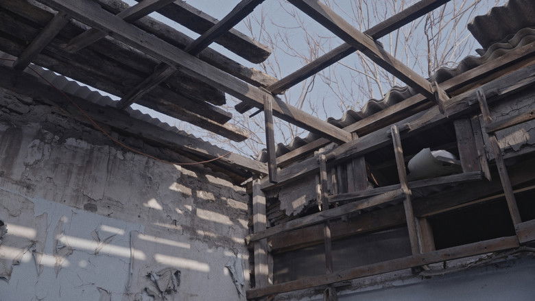 кадр из фильма La casa de los girasoles