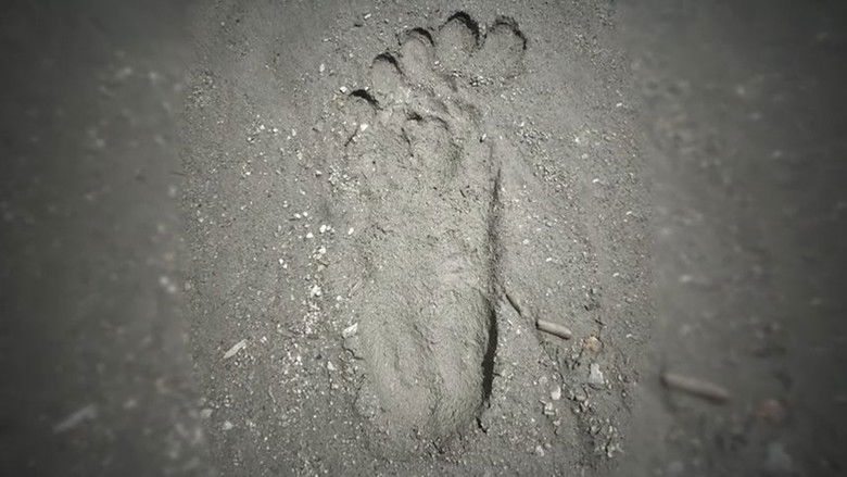 кадр из фильма A Flash of Beauty: Bigfoot Revealed