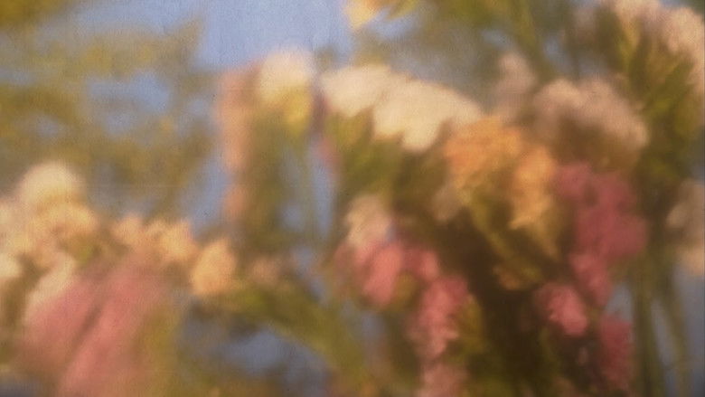 кадр из фильма Efímera Eternidad