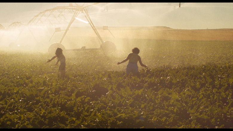 кадр из фильма Gallo Rojo