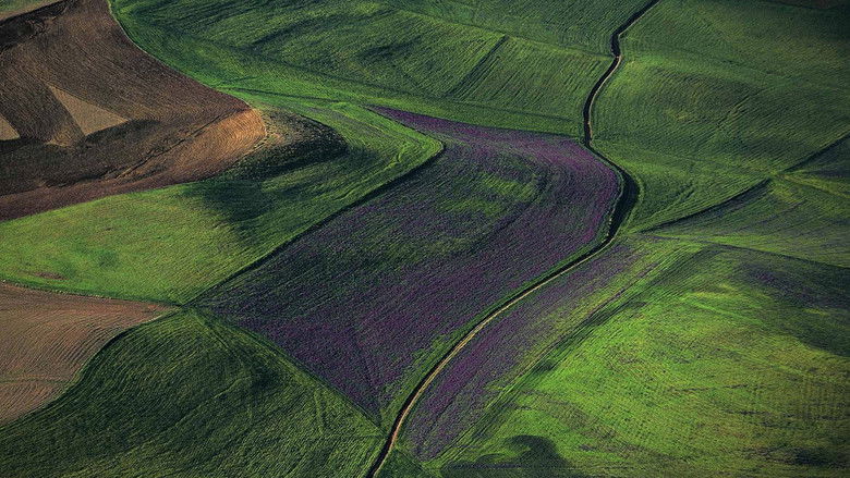 кадр из фильма L'Algérie Vue Du Ciel