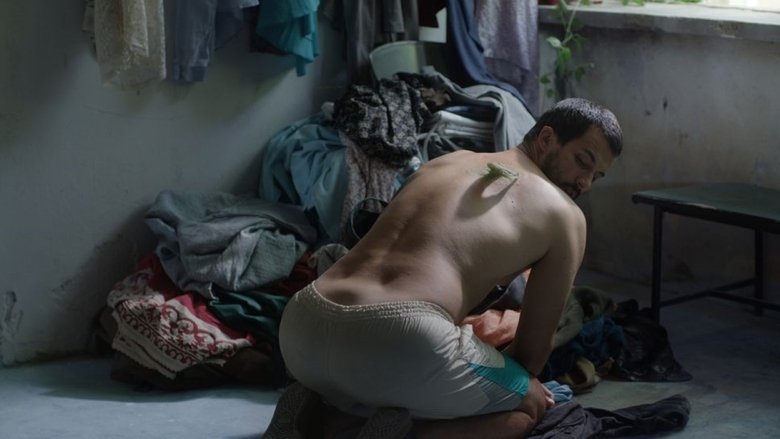 кадр из фильма Linije želje