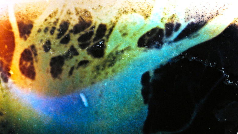 кадр из фильма le mirage des mains ultra réalistes