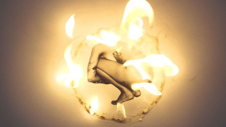 кадр из фильма Gestos de Proteção