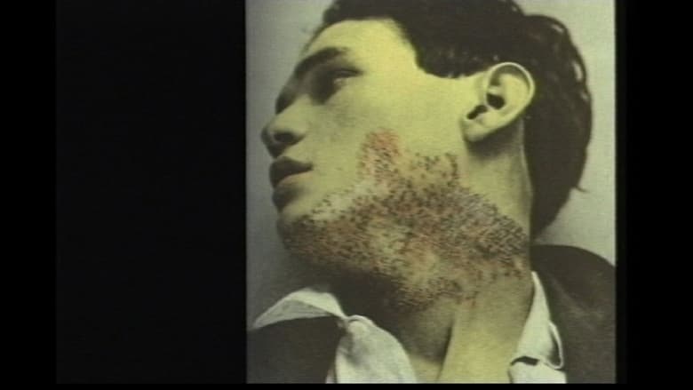 кадр из фильма The Hundred Videos #2