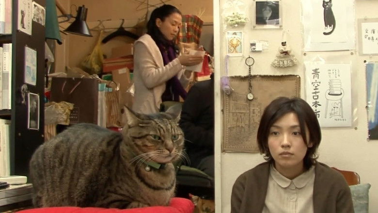 кадр из фильма 私は猫ストーカー