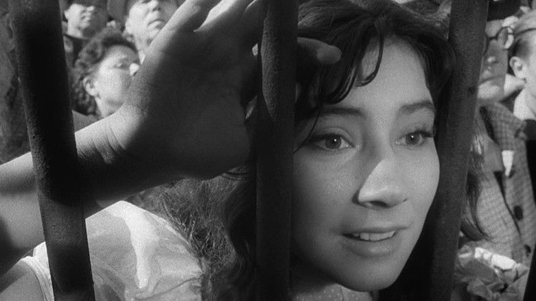 кадр из фильма Летят журавли