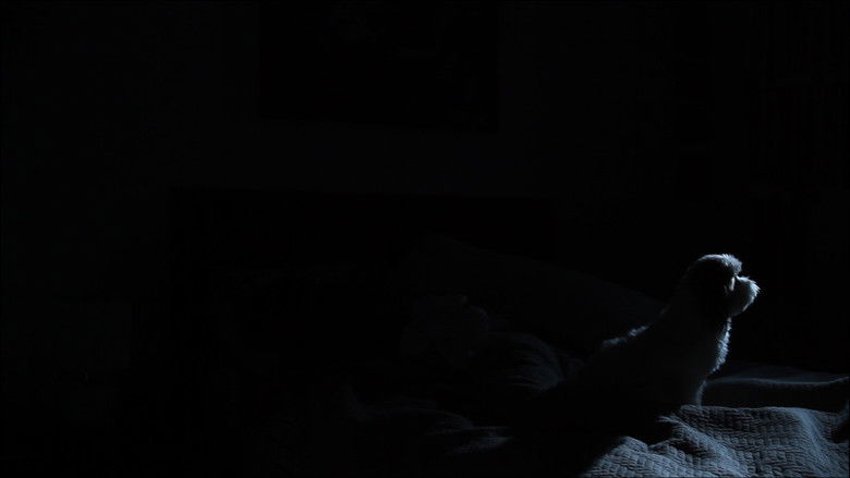 кадр из фильма Visitantes