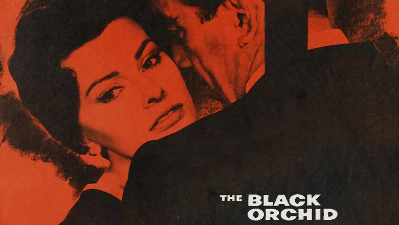 кадр из фильма Черная орхидея