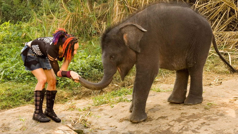 кадр из фильма Zoop In India