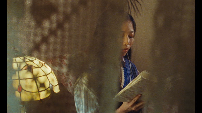 кадр из фильма 月亮总在照顾大地