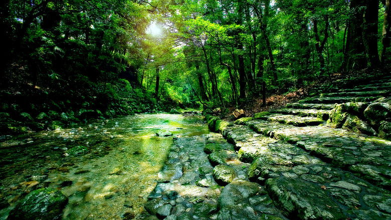 кадр из фильма うみやまあひだ 伊勢神宮の森から響くメッセージ