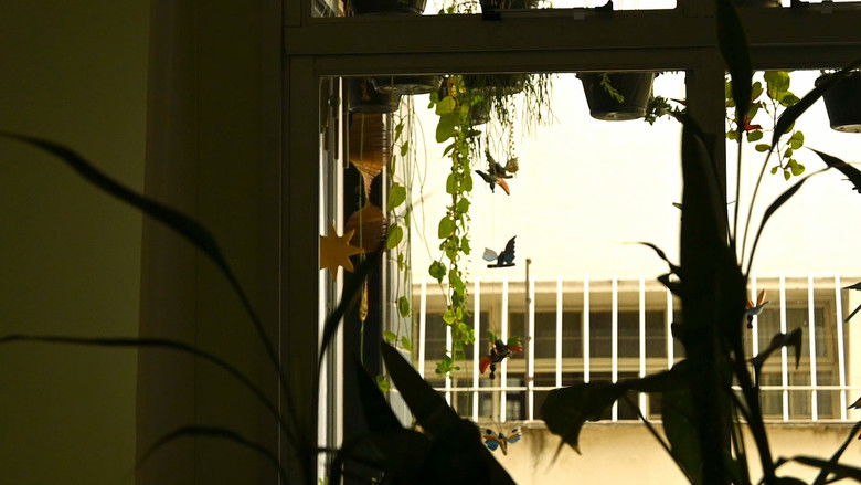 кадр из фильма Eu observo com meus olhos...