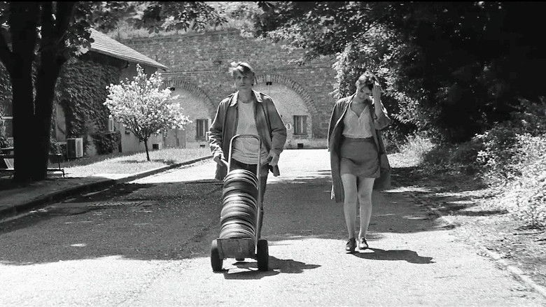 кадр из фильма L'Ombre des femmes