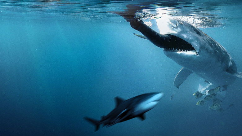 кадр из фильма Bull Shark Bandits