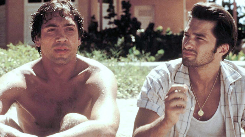 кадр из фильма Пока не наступит ночь