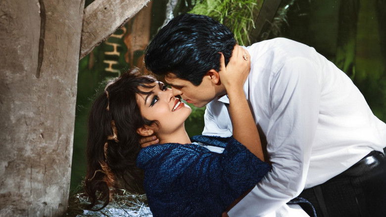 кадр из фильма Beni Osman Öldürdü