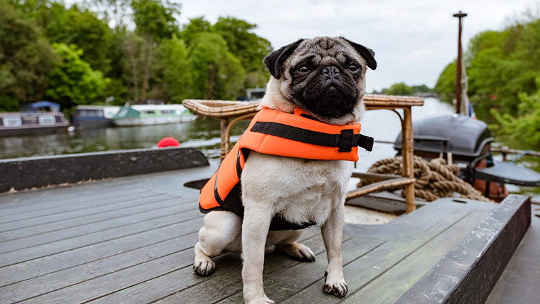 кадр из фильма Патрик