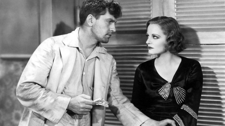 кадр из фильма My Sin