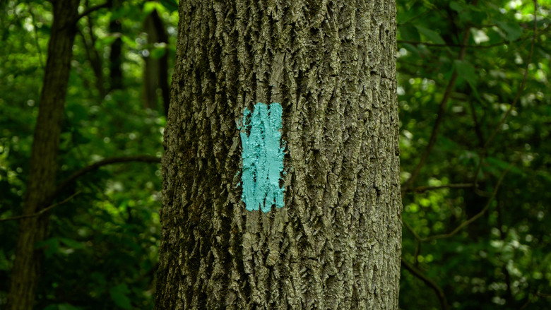 кадр из фильма Somewhere, Ohio