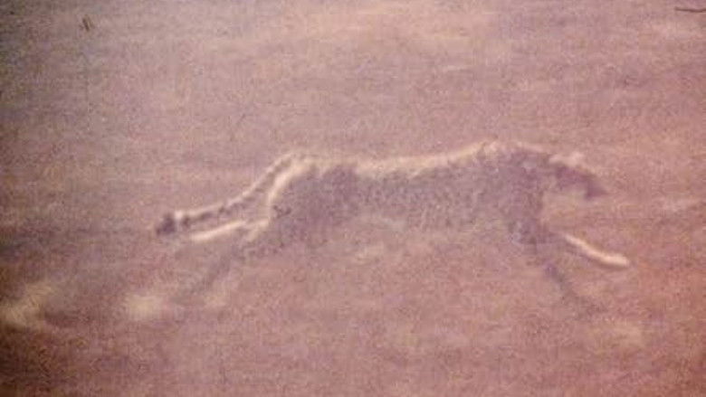 кадр из фильма The Mark of Lilith