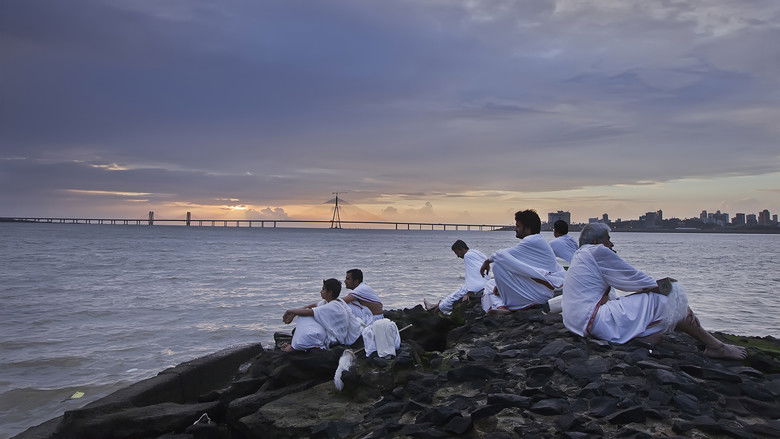 кадр из фильма Ship of Theseus