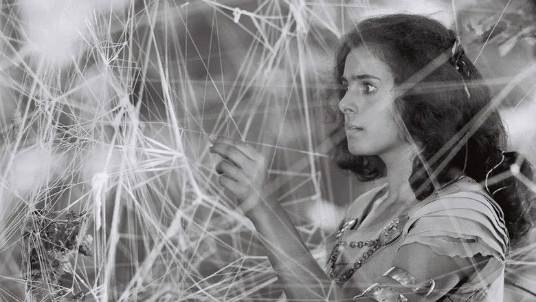 кадр из фильма Серебряная пряжа Каролины