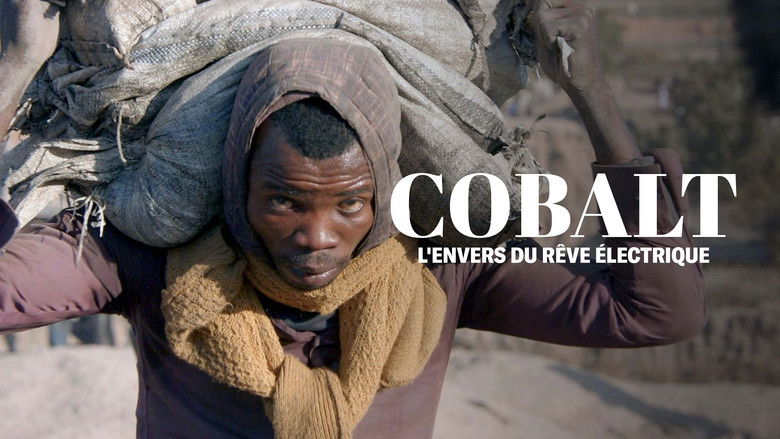 кадр из фильма Cobalt, l'envers du rêve électrique