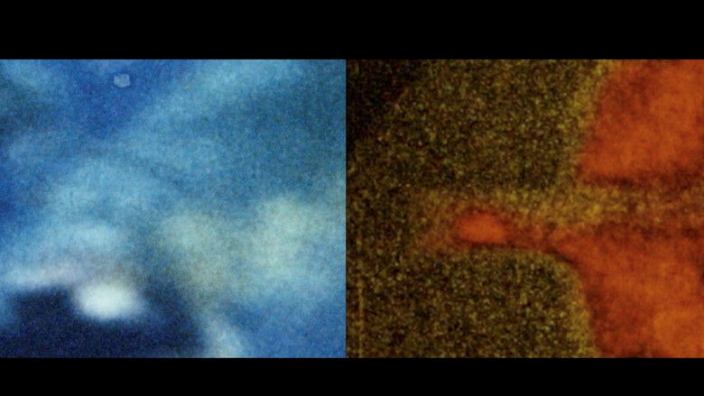 кадр из фильма 광합 파트1