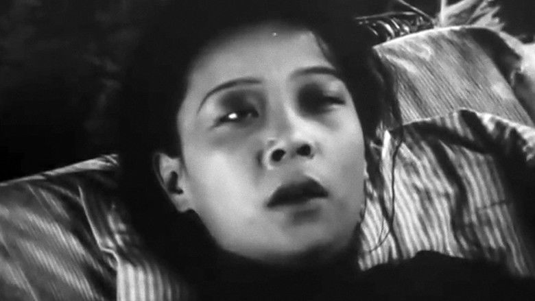 кадр из фильма Сборщица персиков