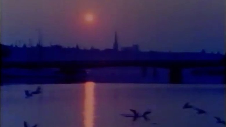 Porträtt: En film om Stockholm