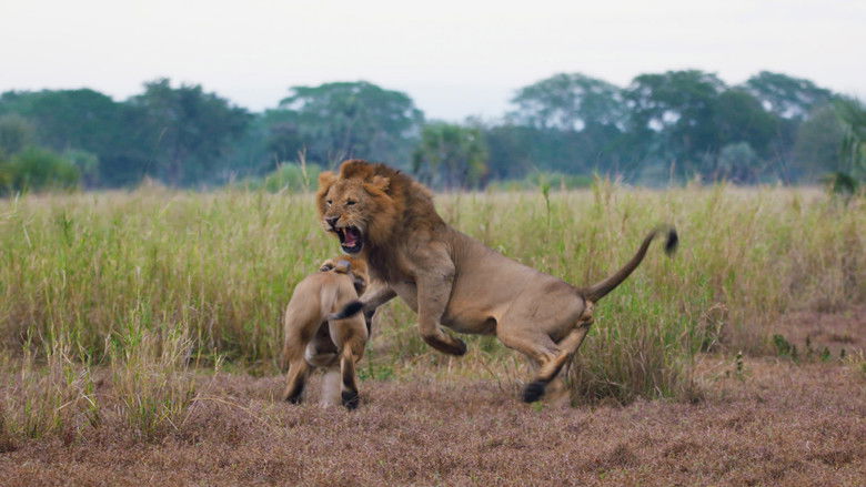 кадр из фильма Return of the Predators