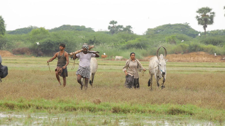 кадр из фильма பைசன் காளமாடன்