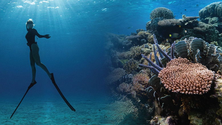 кадр из фильма Corals’ Last Stand